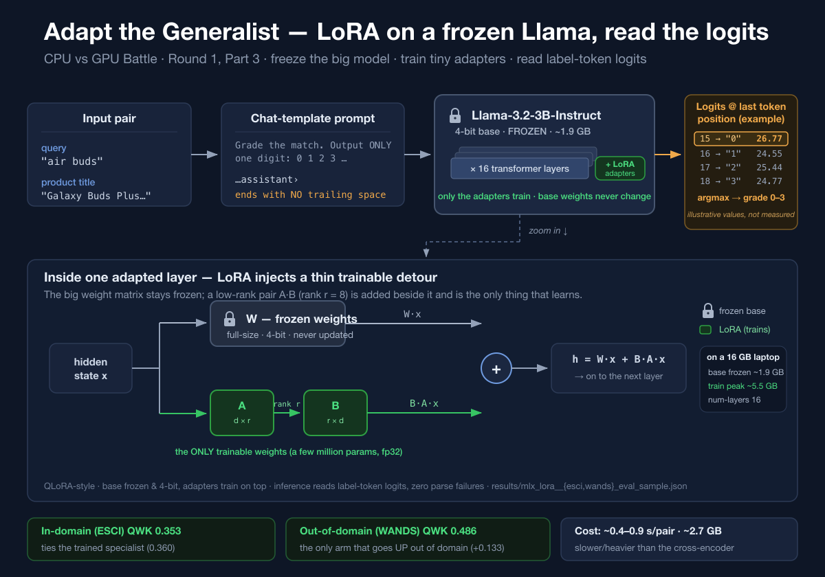 Architecture of the Part 3 LoRA relevance judge (Arm D): a (query + product title) pair becomes a chat-template prompt that ends with no trailing space, then feeds a Llama-3.2-3B-Instruct 4-bit base model shown frozen (locked) - the only trainable part is a small pair of low-rank LoRA adapter matrices A and B (rank r) injected into each of the 16 transformer layers, so the layer computes h = W·x + B·A·x with W frozen. At the output, the model's logits at the last token position are read over just the four label tokens (ids 15/16/17/18 = "0"/"1"/"2"/"3") and an argmax gives the 0-3 grade. A zoom-in shows the frozen full-size weight matrix beside the thin trainable LoRA detour, with the base frozen at ~1.9 GB and training peaking ~5.5 GB on a 16 GB laptop